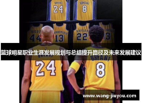 篮球明星职业生涯发展规划与总结提升路径及未来发展建议