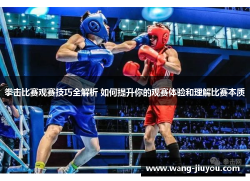 拳击比赛观赛技巧全解析 如何提升你的观赛体验和理解比赛本质