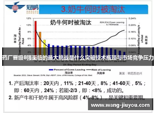 药厂晋级8强面临的最大挑战是什么突破技术瓶颈与市场竞争压力