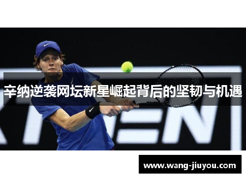 辛纳逆袭网坛新星崛起背后的坚韧与机遇