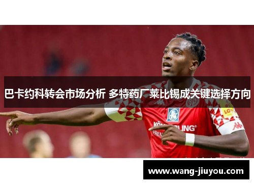 巴卡约科转会市场分析 多特药厂莱比锡成关键选择方向